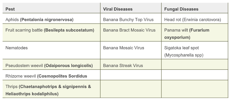 Disease Data